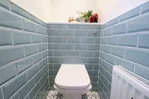 WC- click for photo gallery